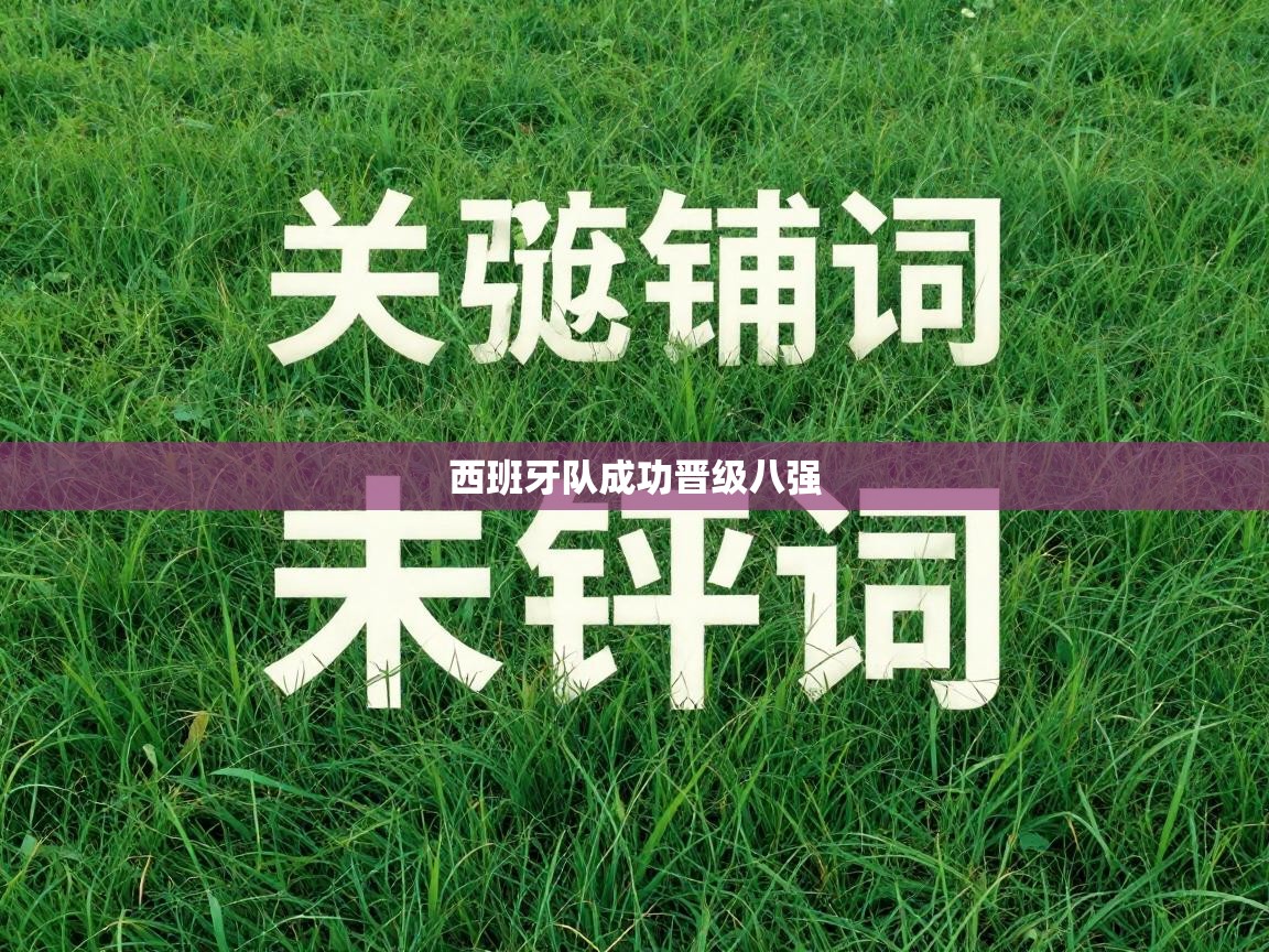 西班牙队成功晋级八强  第2张