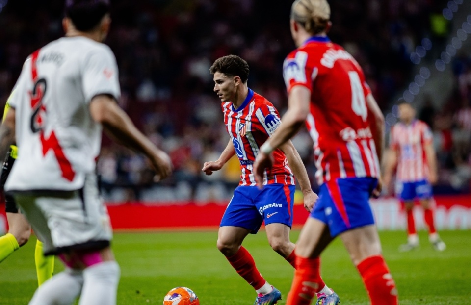 半岛体育app官方下载-沃尔夫斯堡壮志凌云，主场大胜对手的简单介绍